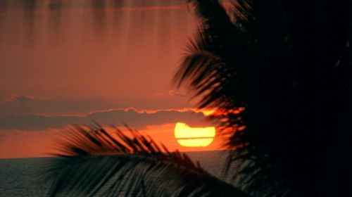 sunset life hawaii