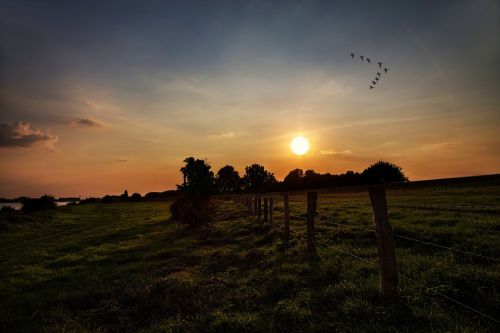 sunset evening sky sky