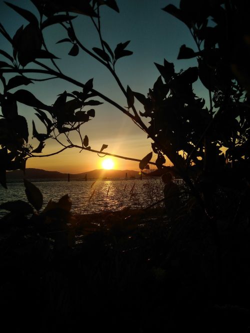 sunset silhouette lake