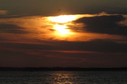 sunset water bay