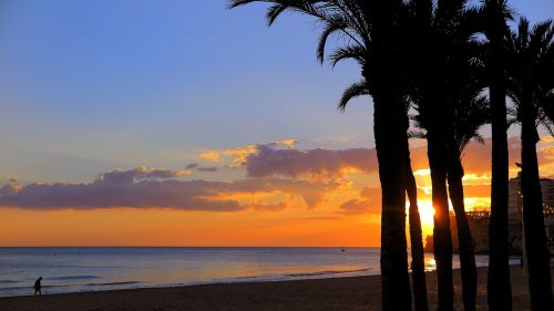 sunset evening red sea view