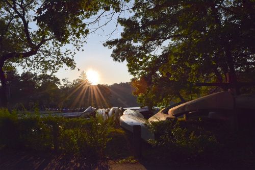 sunset canoes trees