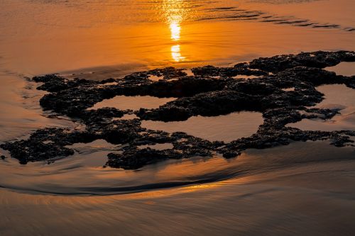 sunset beach ocean