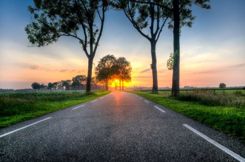 sunset road trees