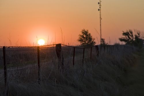 sunset field nature