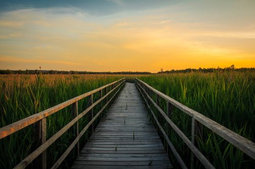 sunset spring lake bad buchau