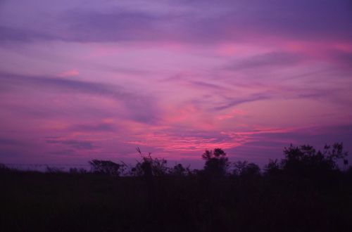 sunset purple sky