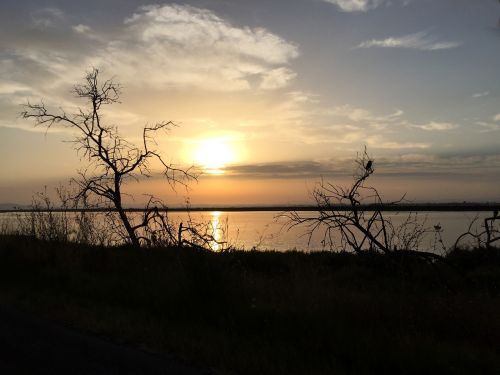 sunset nature pond