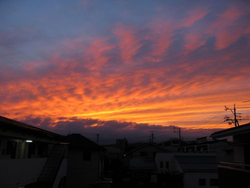 sunset early autumn orange