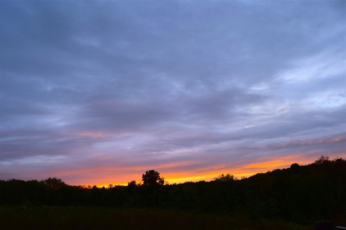 sunset sky trees