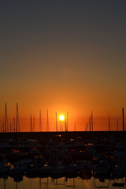 sunset coast boats