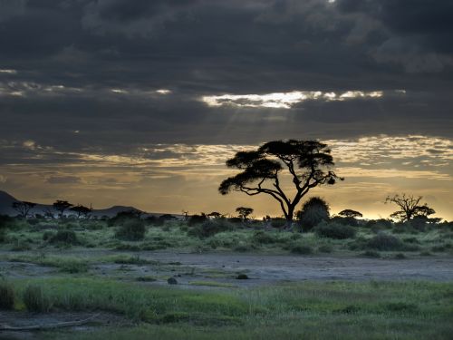 sunset landscape africa