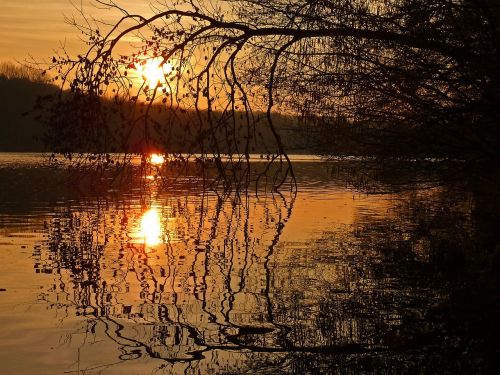 sunset pond nature