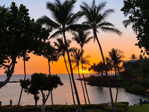 sunset hawaii tropical