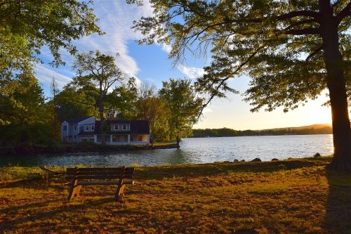 sunset tree lake