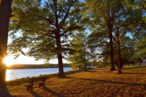 sunset tree lake