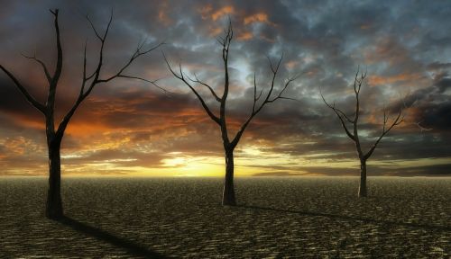 sunset desert dry