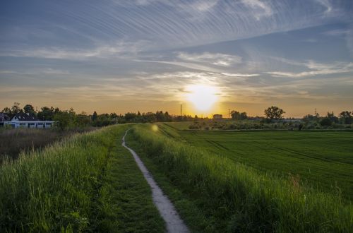 sunset river landscape