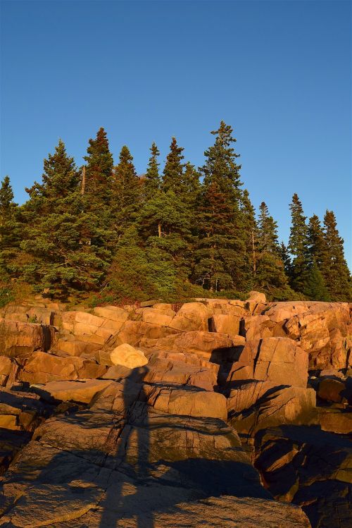 sunset trees rocks