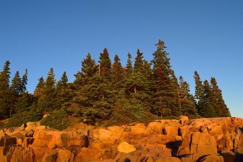 sunset trees rocks