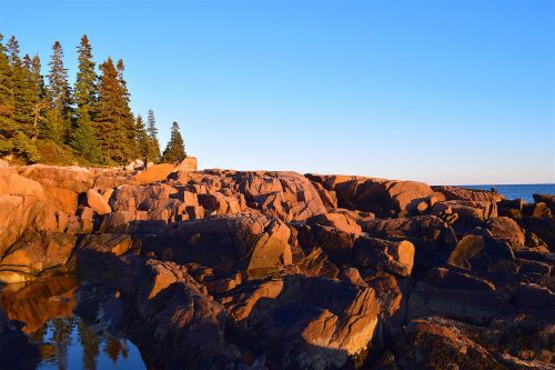 sunset trees rocks