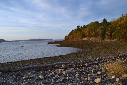 sunset shore rocks