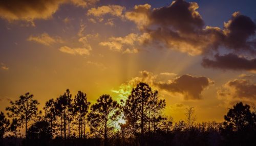 sunset everglades south