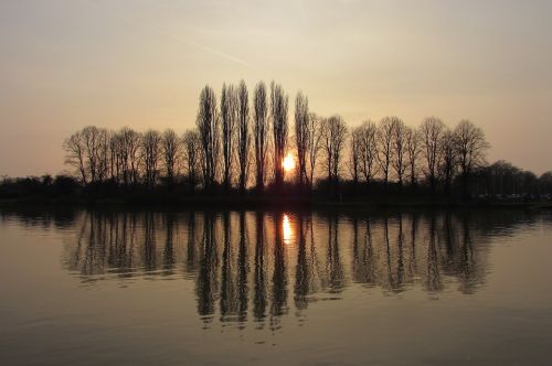sunset water trees
