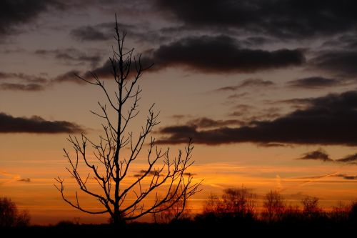 sunset dawn nature