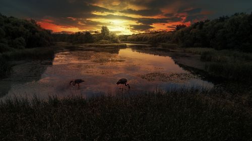 sunset little balaton lake