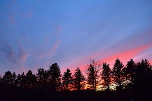 sunset sky silhouette