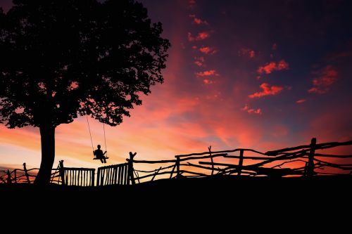 sunset dawn silhouette