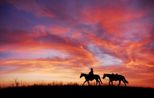 sunset silhouette cowboy