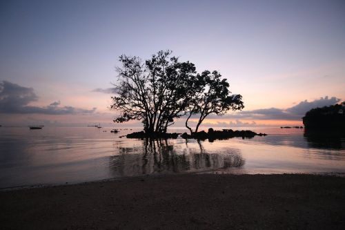 sunset water nature