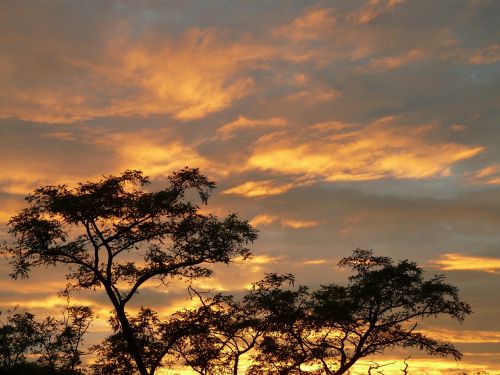 sunset clouds sky