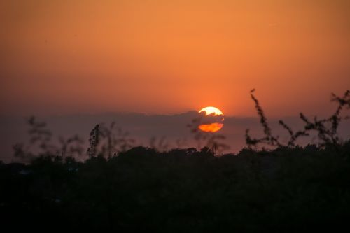 sunset dawn silhouette
