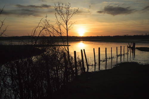 sunset body of water marsh