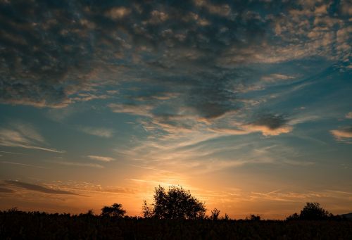 sunset nature panorama