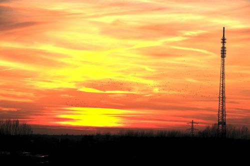 sunset dawn silhouette