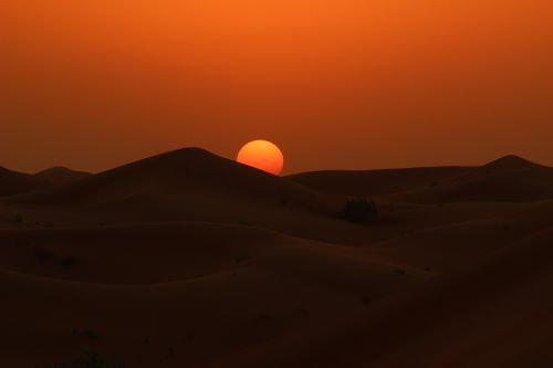 sunset desert dawn