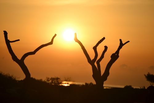 sunset dawn silhouette