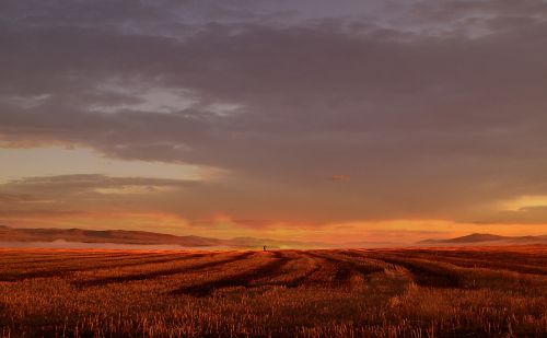 sunset dawn nature