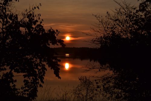 sunset dawn tree