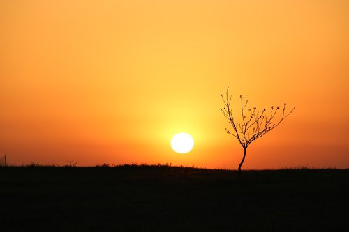 sunset  dawn  silhouette