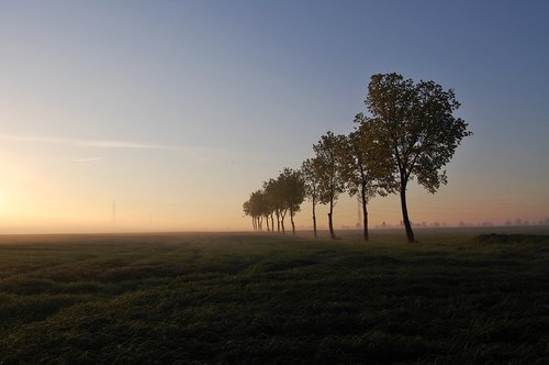 sunset  nature  dawn