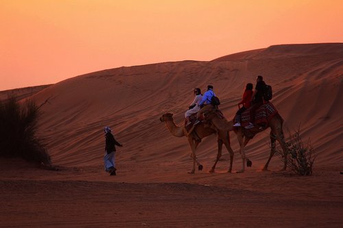sunset  dawn  desert