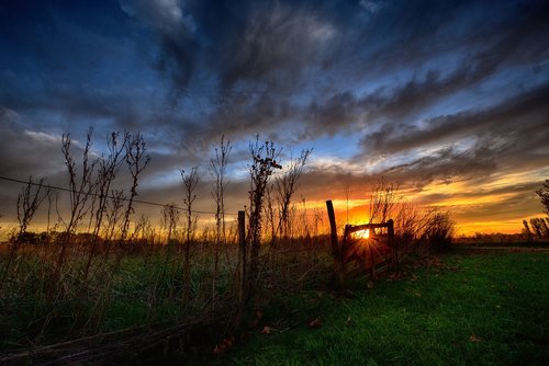 sunset  landscape  nature