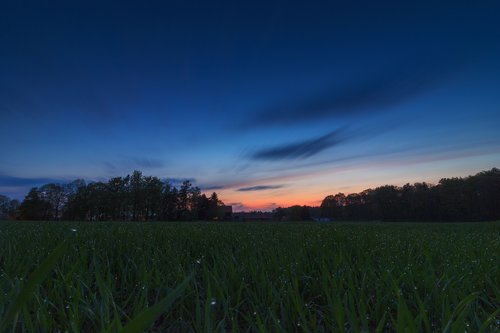 sunset  nature  evening sky