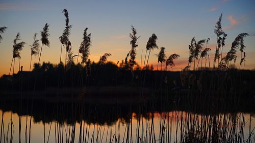 sunset  reed  lake