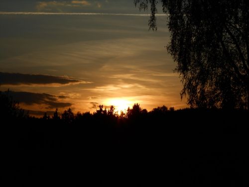 sunset tree horizon